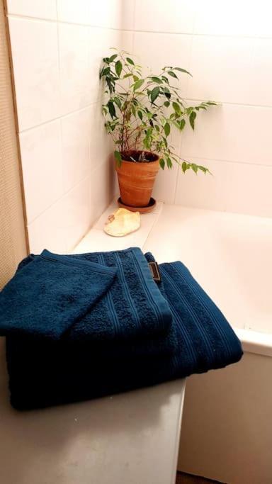 Simplicite Et Calme En Appartement A Issoire Dış mekan fotoğraf